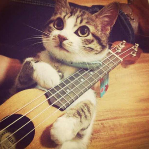 鸡巴日妣妣流水视频
